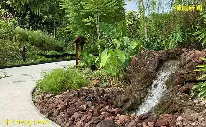 免費！新加坡最適合娃的公園，蝴蝶迷宮、沙灘小灣、瀑布、滑梯秋千