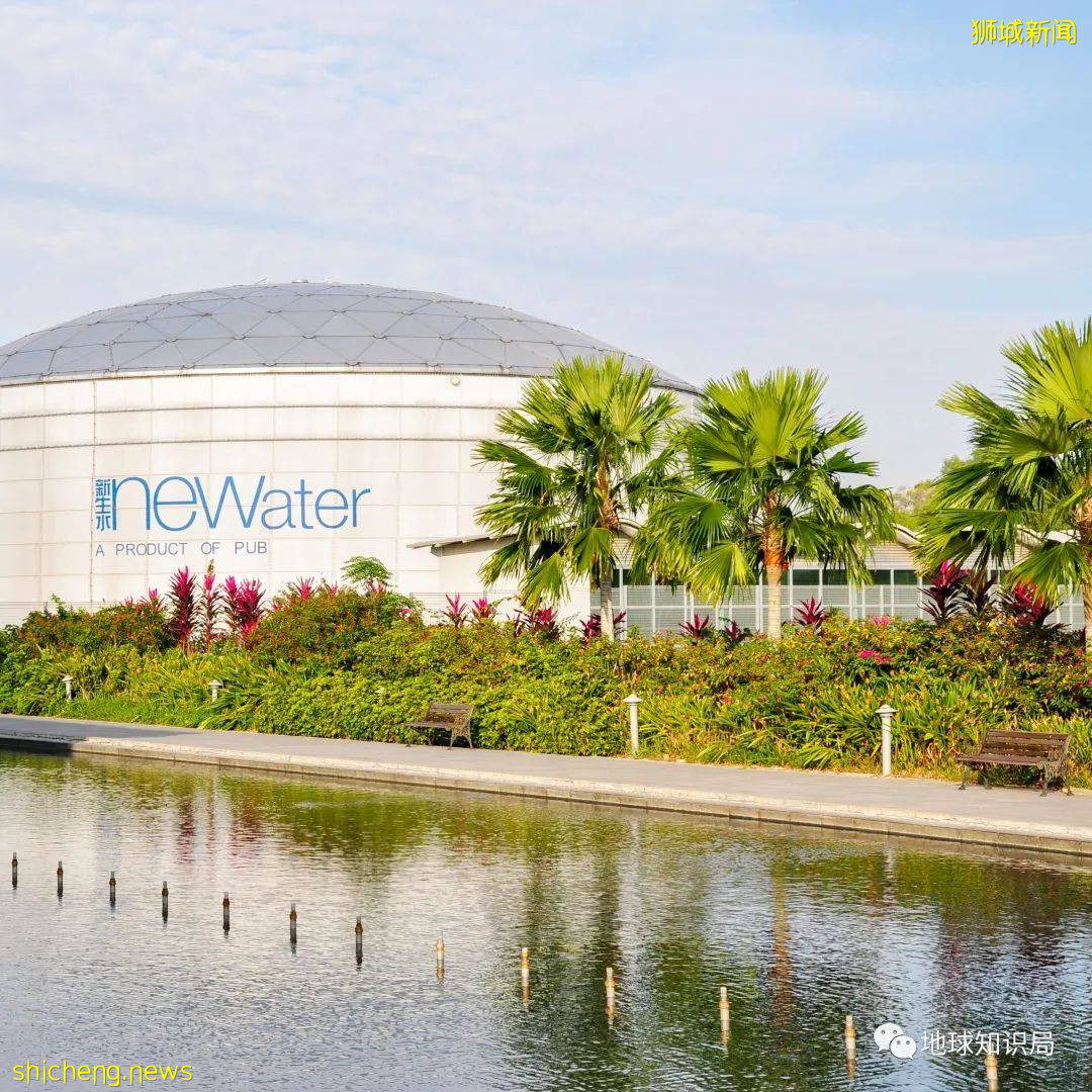 你知道新加坡爲什麽還被稱爲海綿城市嗎