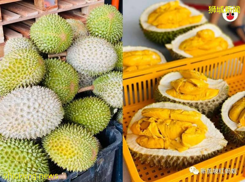 不能親手驗貨很吃虧? 獅城小販將榴梿美照放上網讓買家“相親”