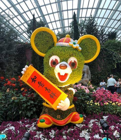 华人众多的新加坡，春节年味不输过年，不知道还以为在逛国内花市