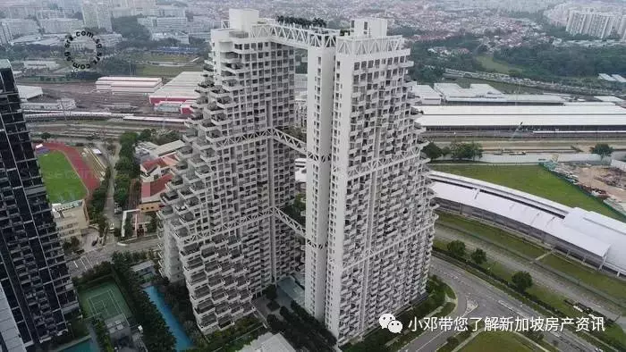新加坡降“樓”十八掌有用嗎