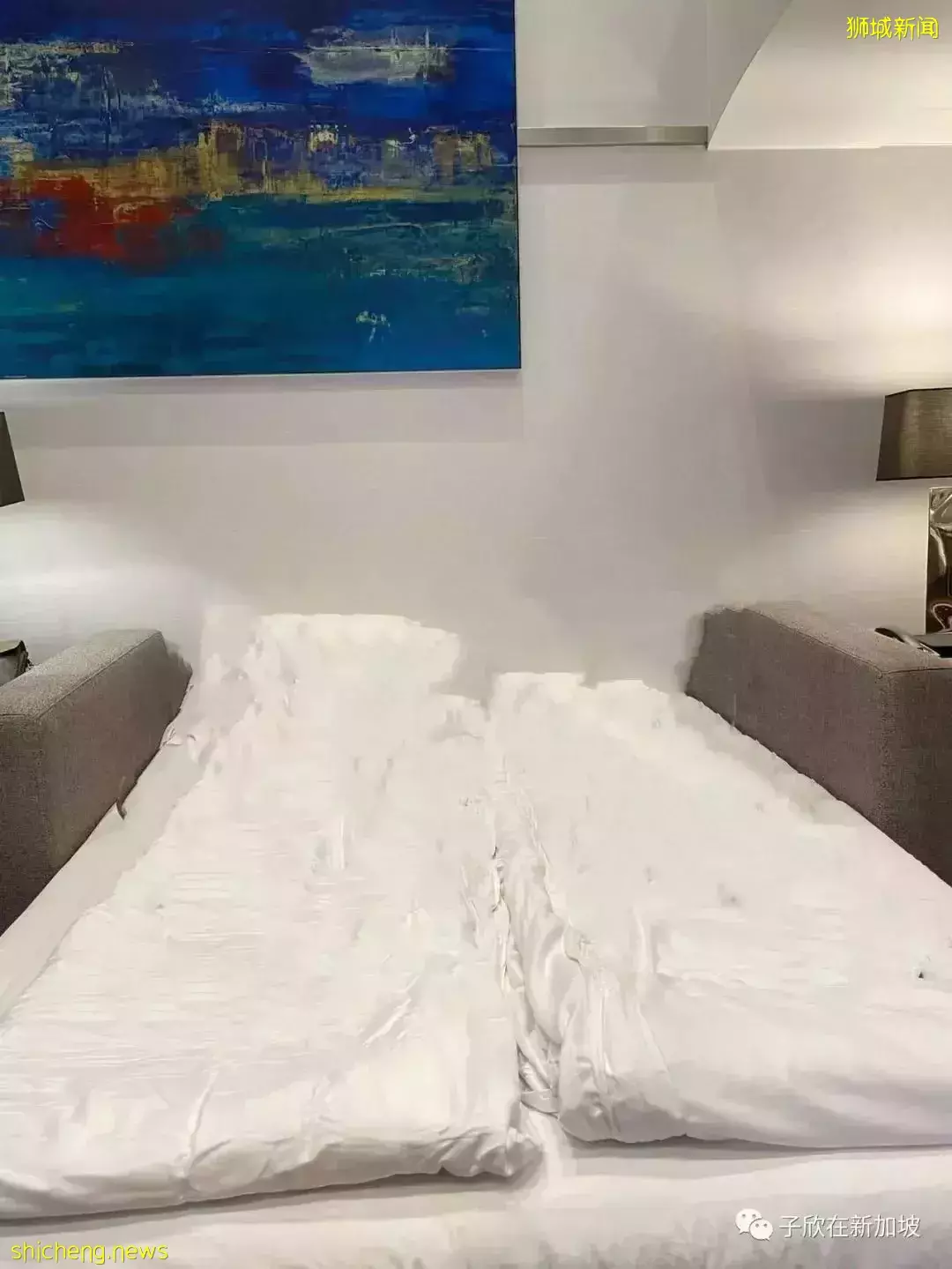 超幸運!疫情期間在新加坡坐郵輪,普通房免費升級成帶管家服務的星級套房