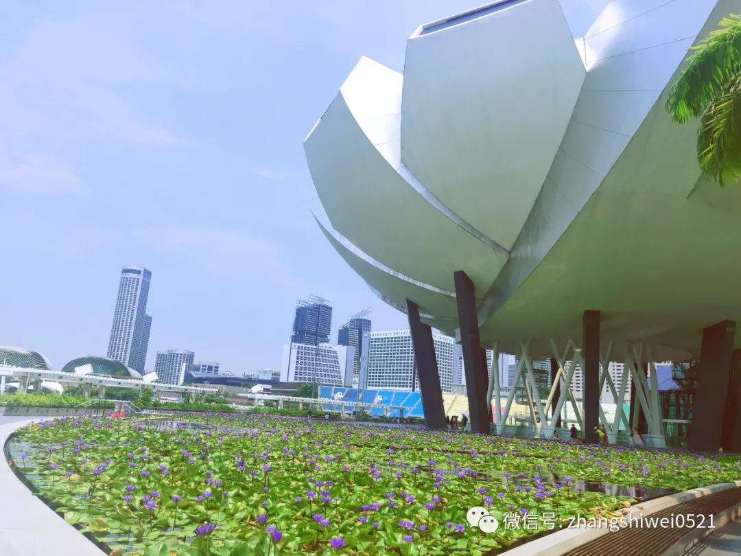 新加坡遊記系列 走,去逛博物館呀