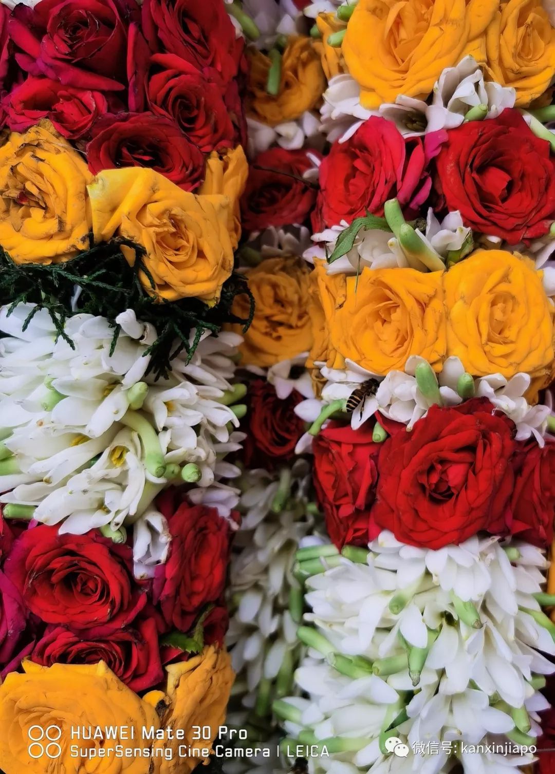 美炸！新加坡迎来屠妖节，小印度惊艳变这样！