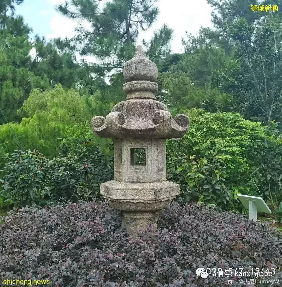 “游览总统府巧遇新加坡总统！她竟然还和我合照”