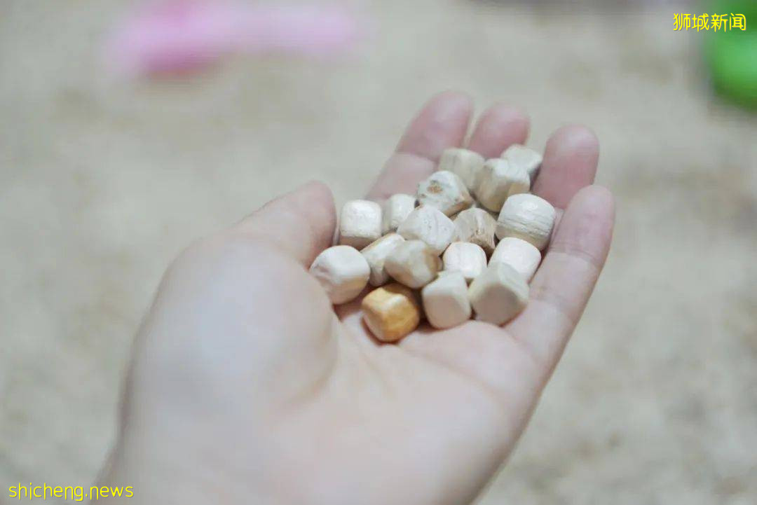 免費送票！火爆韓國的兒童遊樂場，原來新加坡也有