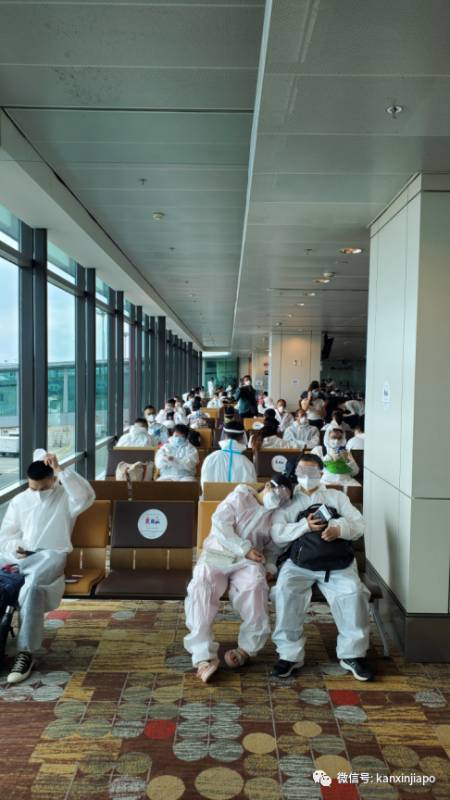 成功从新飞回厦门,核酸检测报告一天就出炉