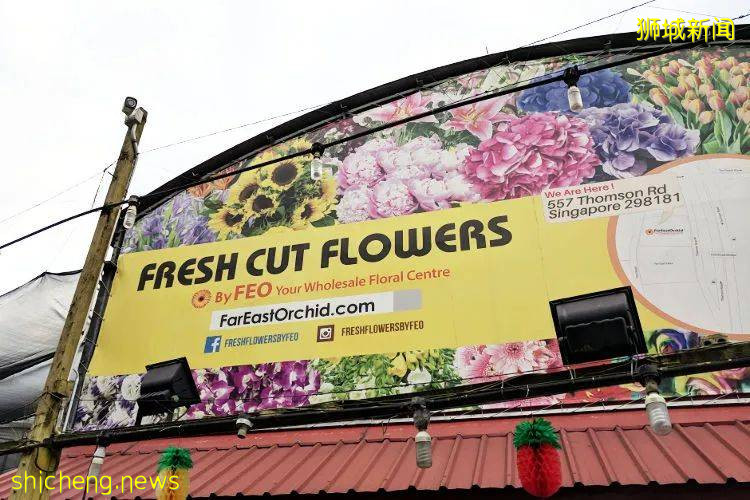 除了超市，原來新加坡還能在這些地方買到鮮花