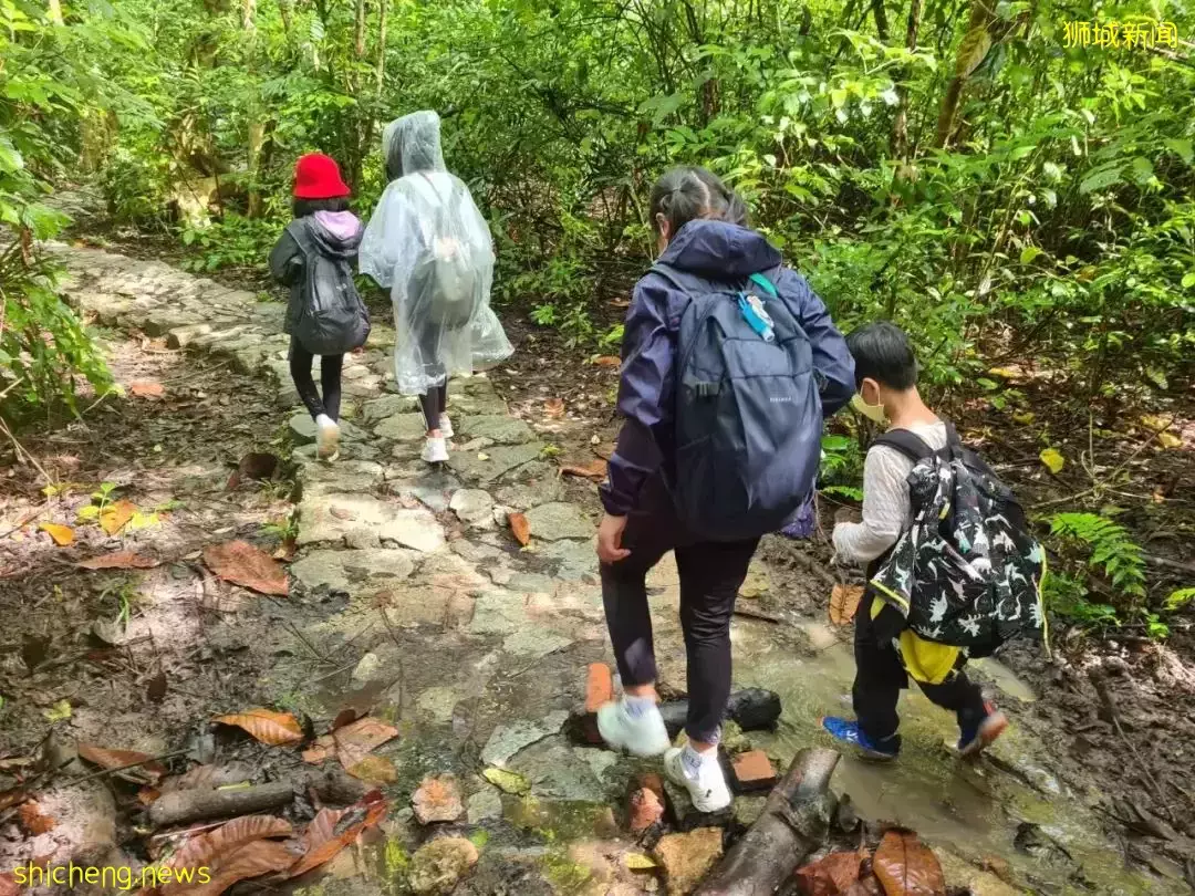 叢林探險、生存挑戰！新加坡戶外學校的6大假期營超級寶藏