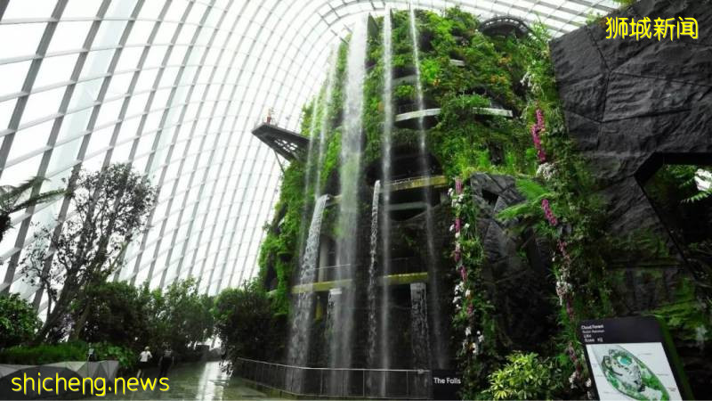 新加坡の十件趣闻,你知道吗