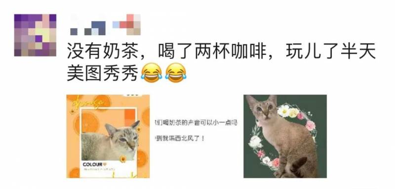 在獅城“秋天的第一杯奶茶”你會選擇哪一杯