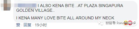 新加坡国民电影院座位藏“热带吸血虫”,多人身上起神秘红疹
