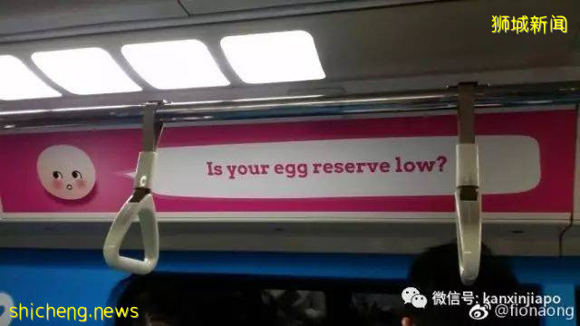 开放生第三胎！看看新加坡实施34年已砸了多少钱