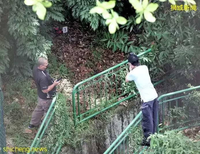 老汉离奇死 横尸路边树丛