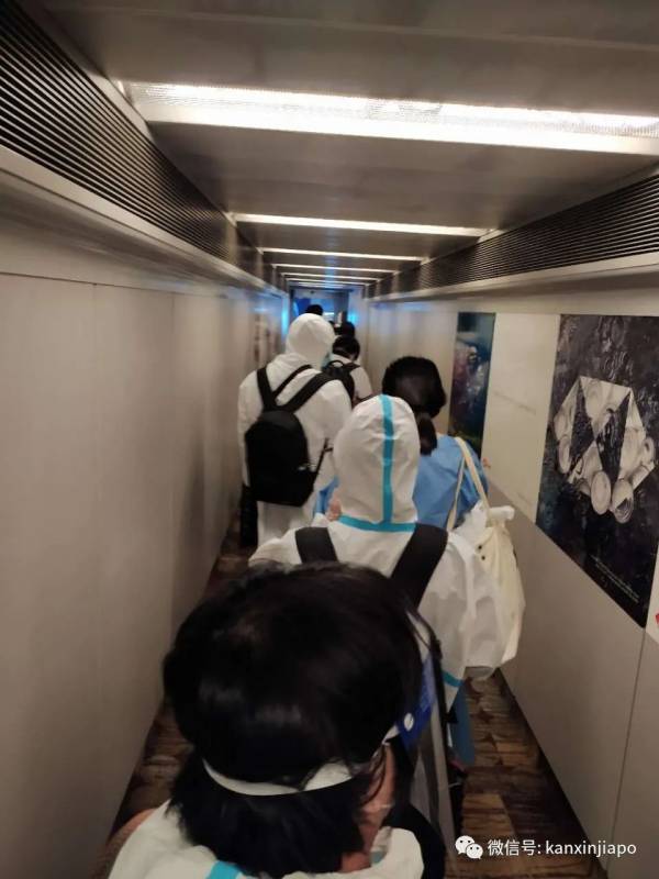 新加坡至广州最新返程记,附登机前核酸检测经验分享