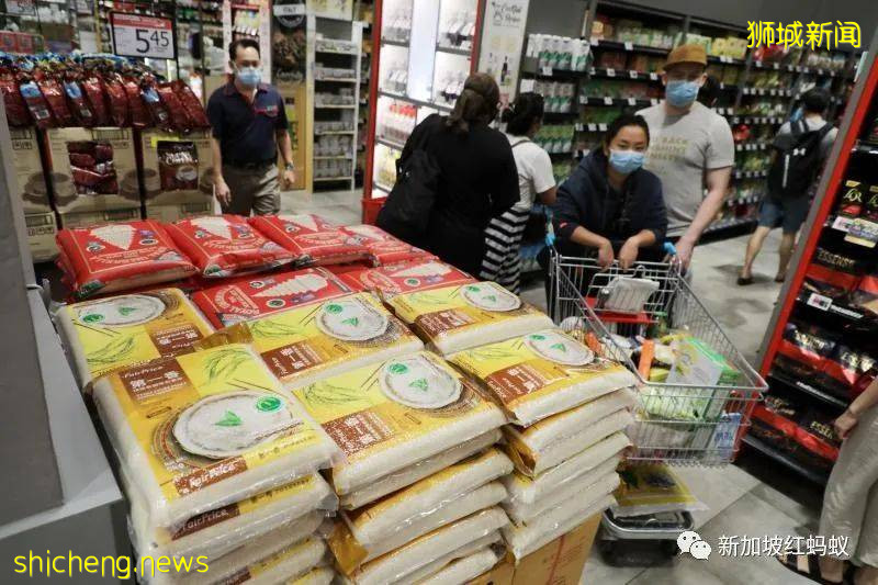 疫情中的曙光 盘点新加坡这几个逆流而上的“亮点”行业