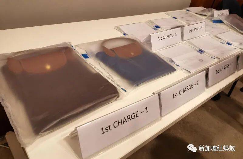 部長聲明：新加坡女傭案雙方證詞皆有瑕疵　但警方與控方不受外力影響