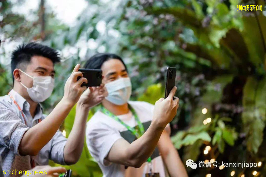 小米新加坡牵手Night Safari动物园网红大象,温情满满