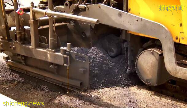 新加坡“福布斯”小姐姐天天和維修工人混一起，賺大發啦