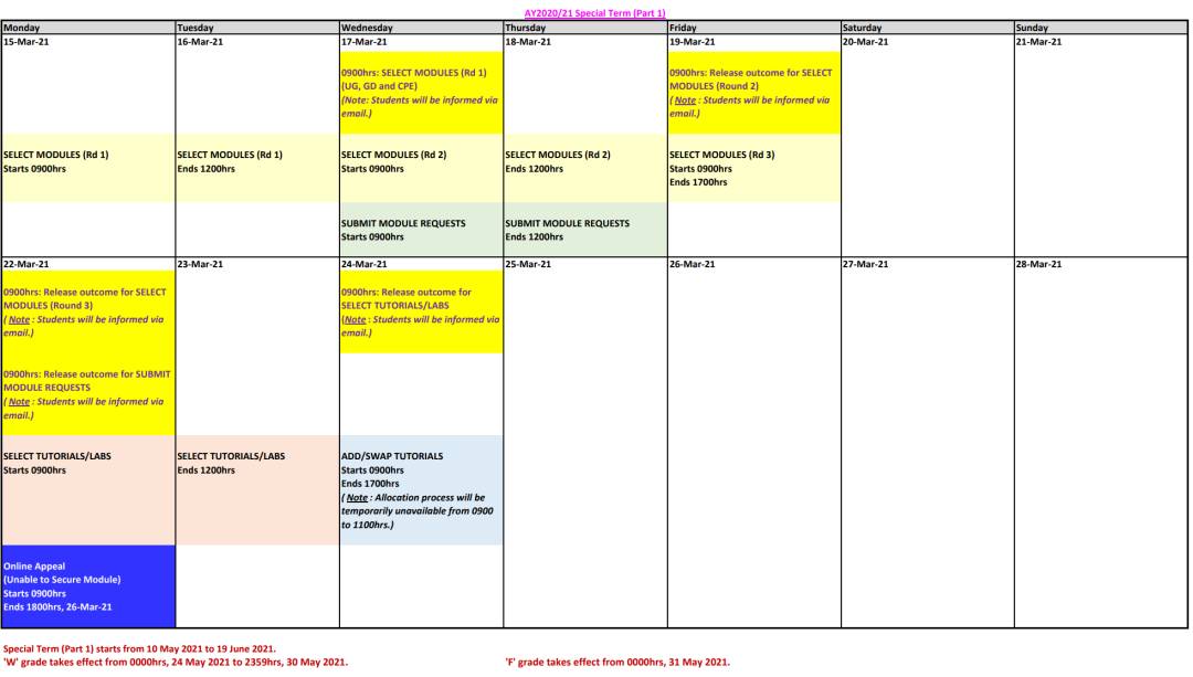 幹貨 國大 Special Term 詳解