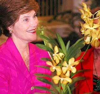 獅城見聞 | 新加坡胡姬花趣事!