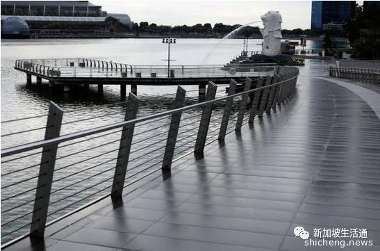 新加坡部长称该国疫情尚未过半，仍然是马拉松的上半场