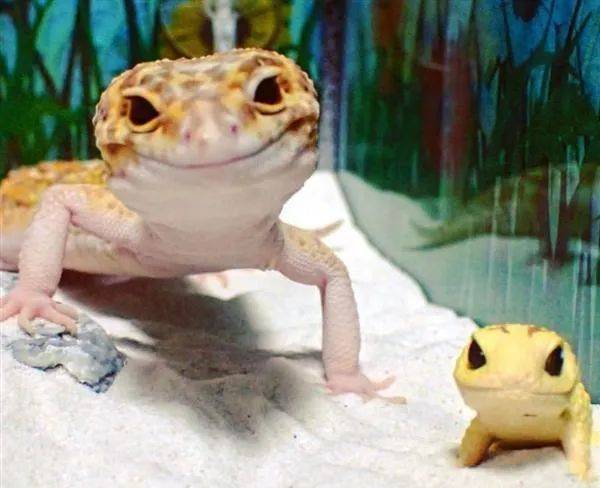 “我也怕獨自猝死在家裏”，單身人口暴增，新加坡真的適合獨居嗎