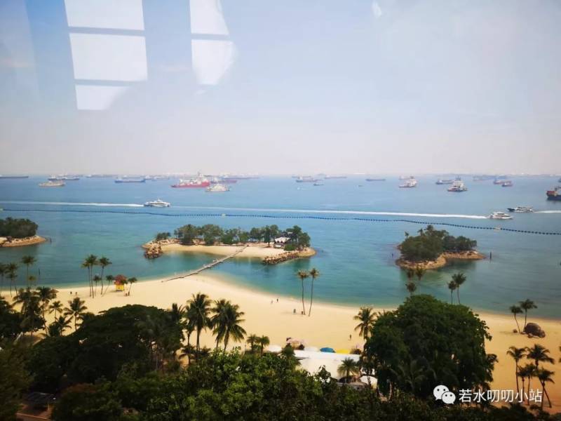 新加坡游记（下）