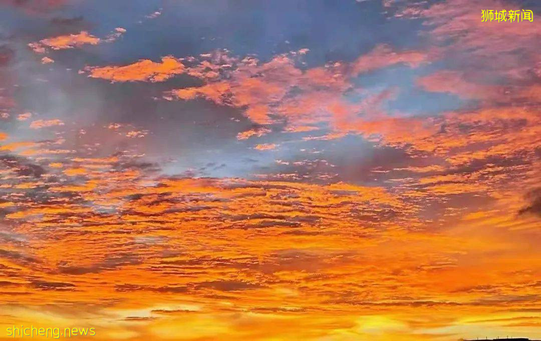 昨天，新加坡神仙晚霞刷屏朋友圈！這些地點觀賞效果炸裂