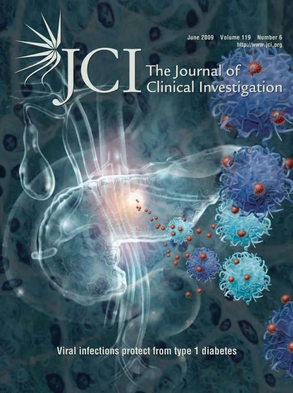 小坡島留學 NUS頒發2020國大榮譽獎,你的教授獲獎了嗎