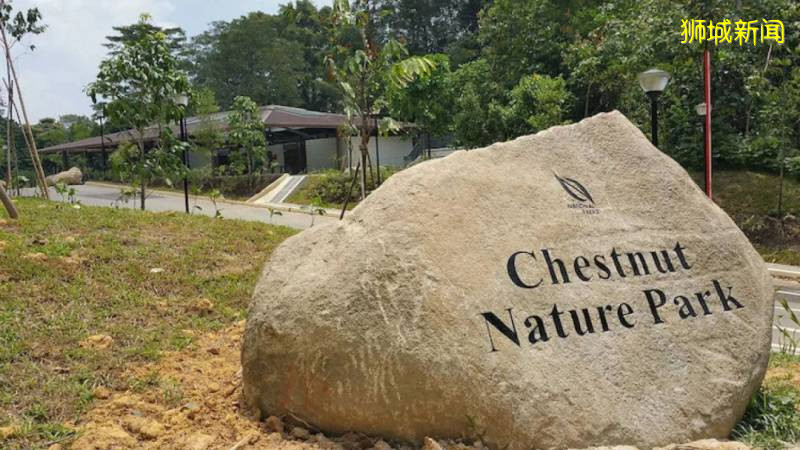 新加坡15個徒步遛娃好去處,我賭肯定有你不知道的