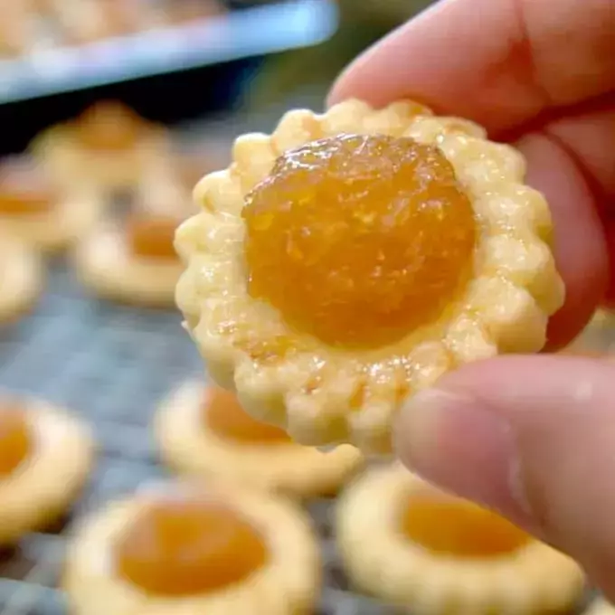 快來看看有哪些新加坡年貨美食你沒吃過