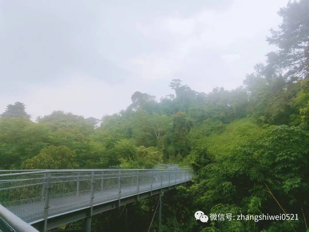 新加坡遊記系列 行走在南部山脊