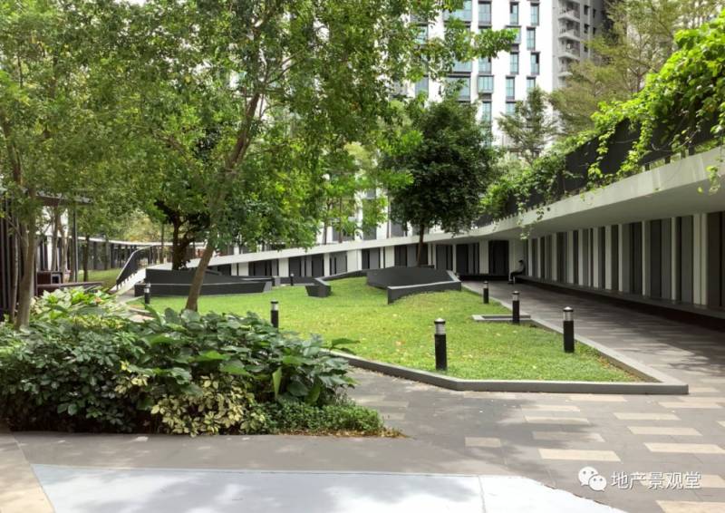 新加坡景观考察-网红背后的景观逻辑