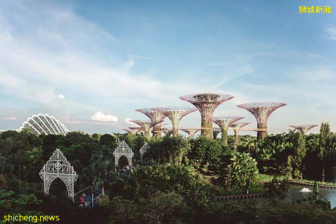 原來移民新加坡有這麽多好處!移民方式多種選擇,你適合哪一種