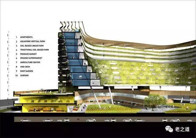 新加坡家庭养老模式的启示