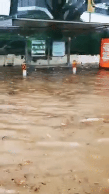 今增119，累计42432 | 暴雨初歇涨水方退，新加坡国会已解散，正式进入大选模式