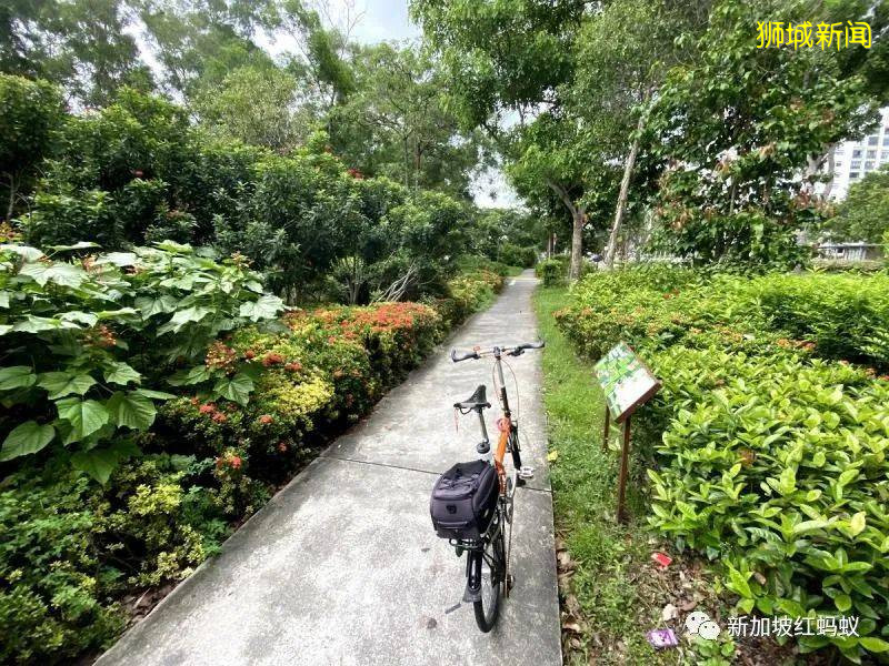 人行道上該怎麽走都要限制，新加坡政府會否管太寬