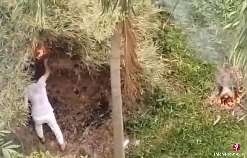 阿嫂疑没戴口罩 清晨纵火烧草丛