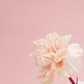 在新加坡做女人太幸福,不用做饭带娃?不怕离婚?没有婆媳矛盾