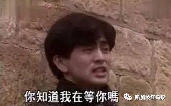 獅城解封期第二階段買氣不佳　商家聲聲召喚：我等著你回來