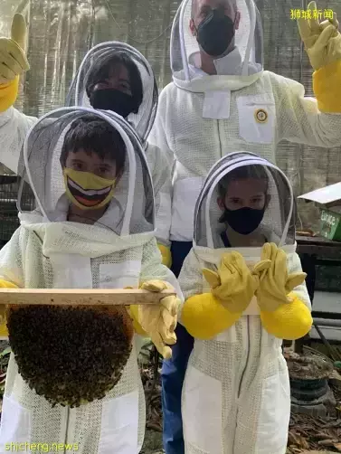 新加坡5月免費活動！消防體驗、昆蟲農場、坐纜車！太適合一家出行