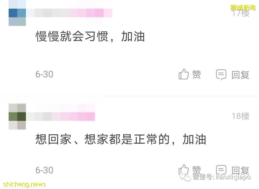 “新加坡,来了15天就想离开的地方”