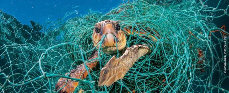 【本周優惠】金沙3網紅景點僅$10、摩天輪買1送1、MK3折、戴森促銷、阿迪折上7折