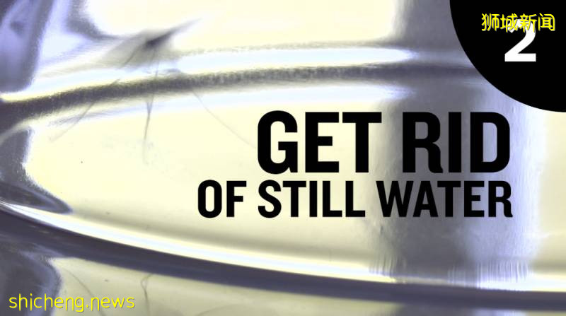 新加坡PSB学院学生事务处:预防登革热有妙招