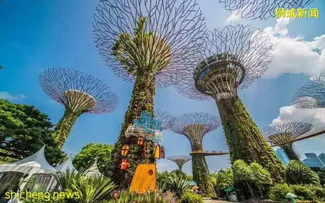 漫步北纬1°,开启游学“新”篇章