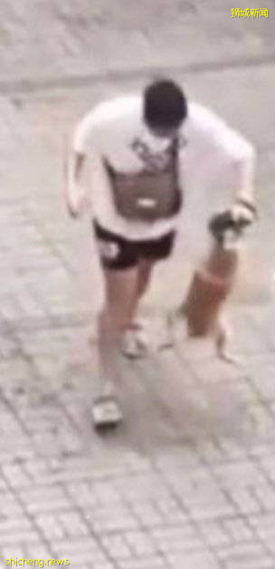 恶男虐狗 全程被拍