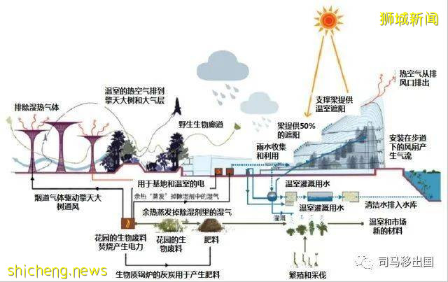新加坡“花園中的城市”，看看這些巨樹參天的新奇景觀!