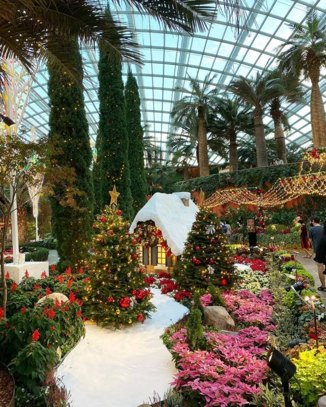 濱海灣花穹聖誕展🎄 歐洲城堡、聖誕花卉、巨型雕塑！Poinsettia Wishes 票價從S$8起