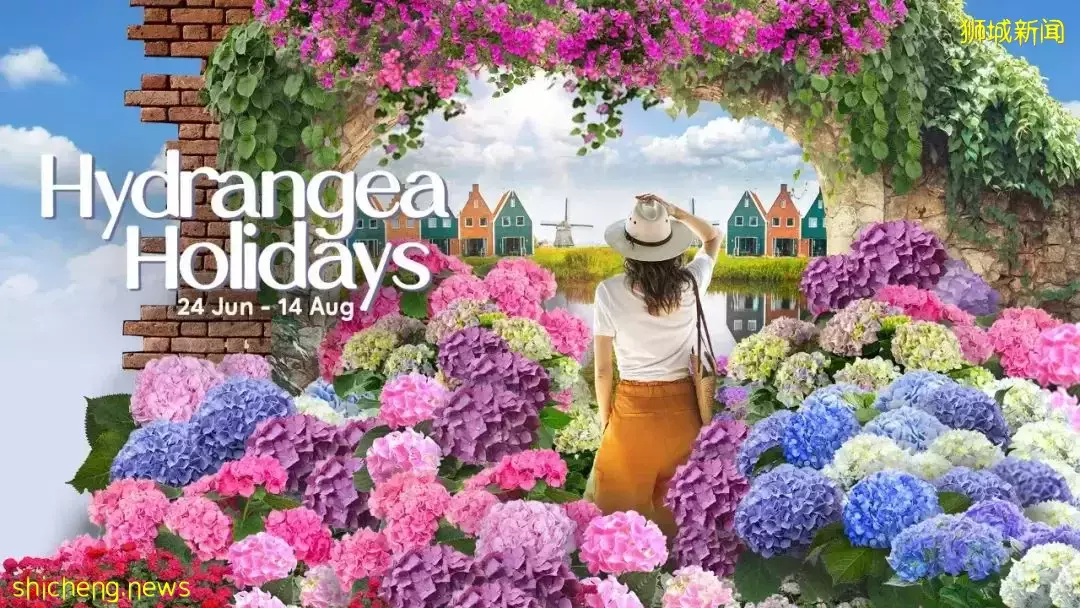 风车别墅小灯塔 满满荷兰风情的绣球花展，就在新加坡滨海湾花园
